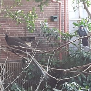 Meet your Posher, Krystal